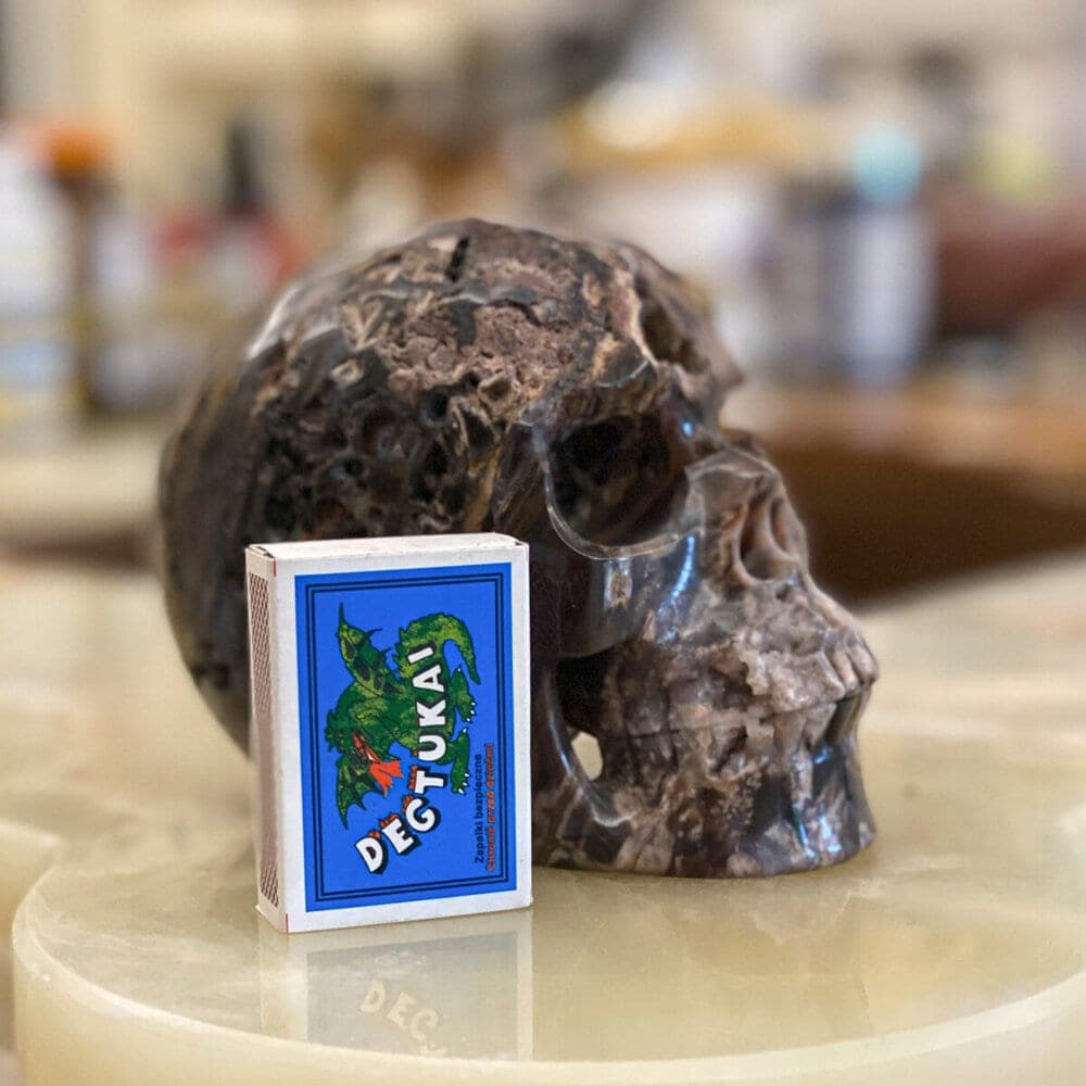 Petrified Wood Skull