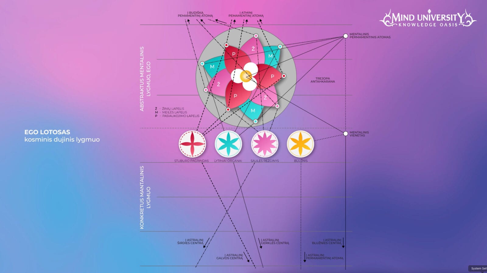 Diagram of the ego lotus with petals, chakra discs and dotted lines linking mental plane levels